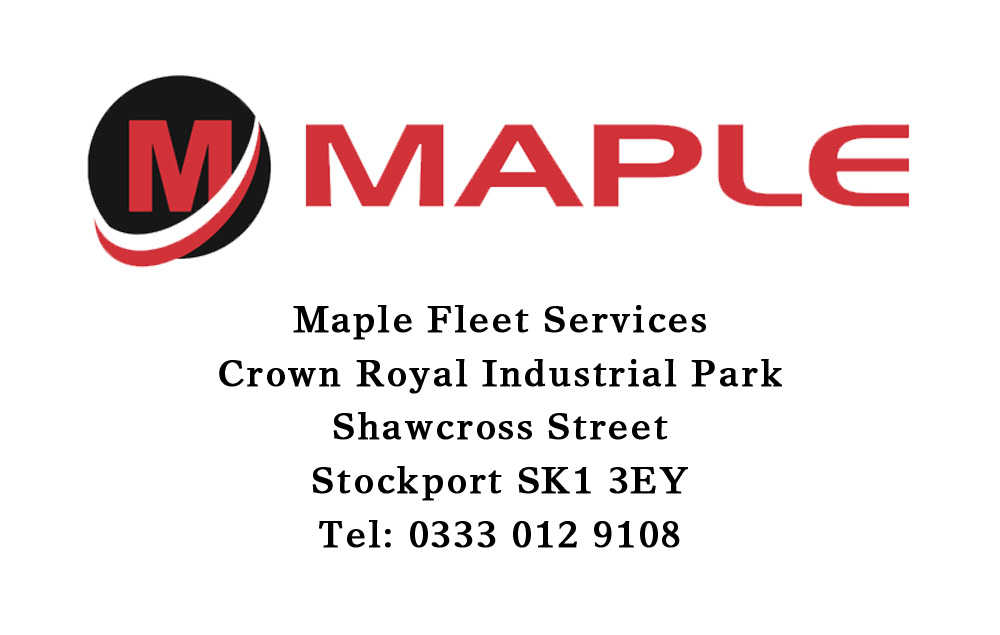 maple